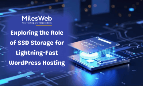 Exploring the Role of SSD Storage for Lightning-Fast WordPress Hosting